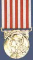 Gedenk Medaille des groen Krieges 14/18