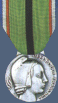 Medaille der widerstandsfhigen Patrioten an der beschftigun von den abteilgen de der Rhein und von la Moselle 39/45